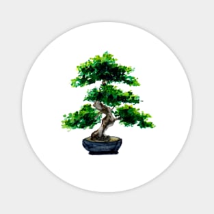 Japanese Watercolor Bonsai Tree Magnet